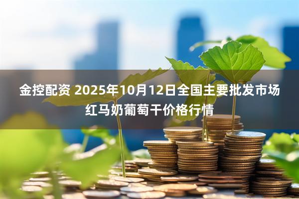 金控配资 2025年10月12日全国主要批发市场红马奶葡萄干价格行情